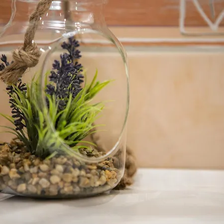 In The Center Of Butas Klaipedos Miesto Centre Apartman Klaipėda