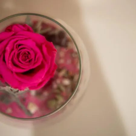 Apartman In The Center Of Butas Klaipedos Miesto Centre Klaipėda